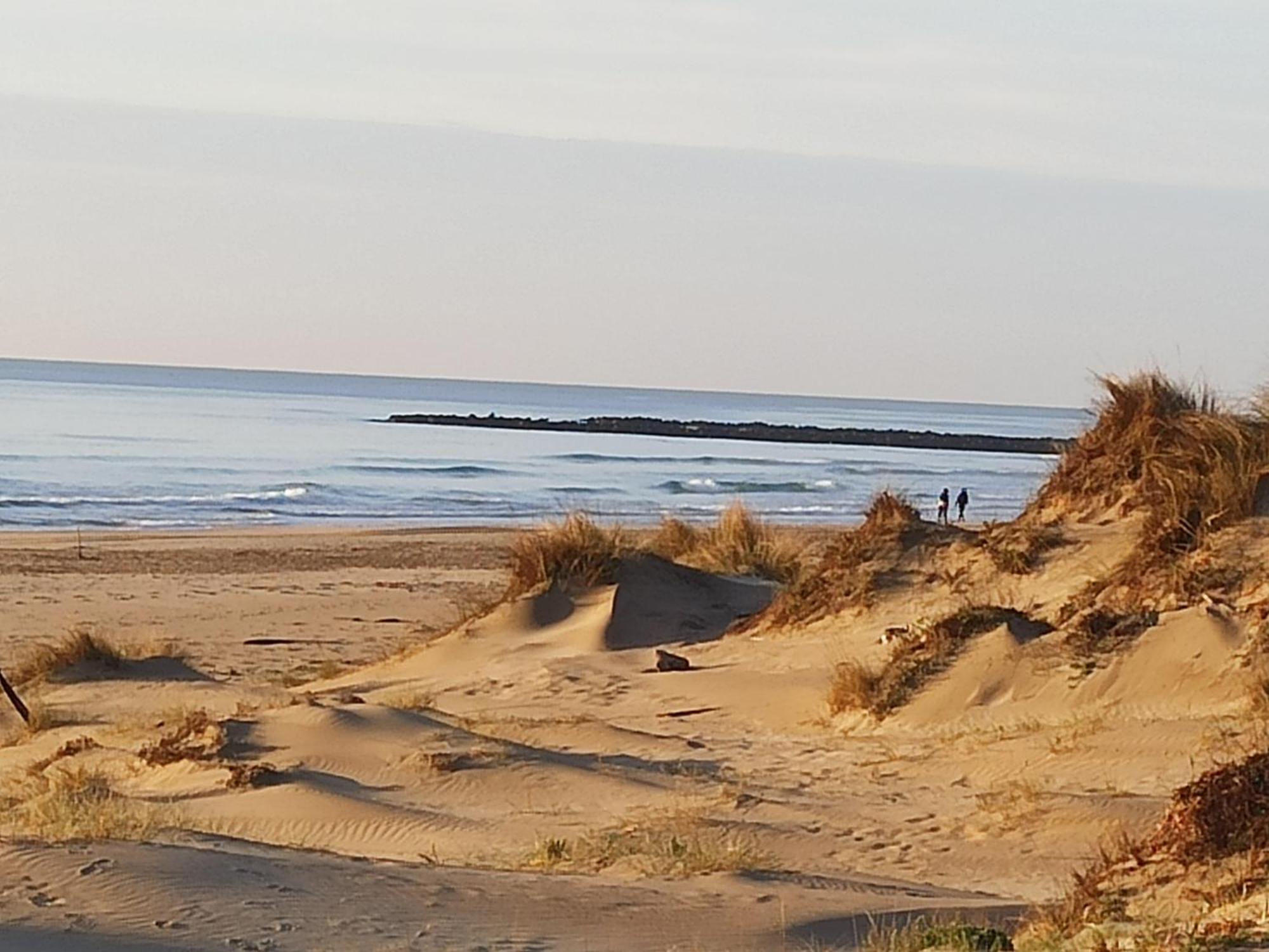 T2 Rdc Avec Jardin, Cap D'Agde, Secteur Falaise, 100 M Plage, Clim, Wifi, Parking Esterno foto